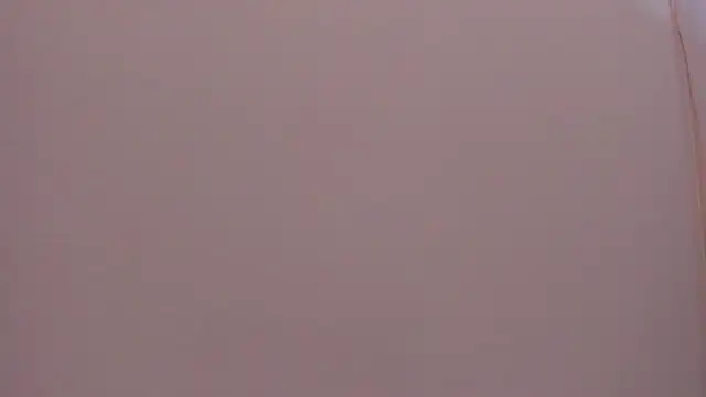 Show webcam de Chris_Green