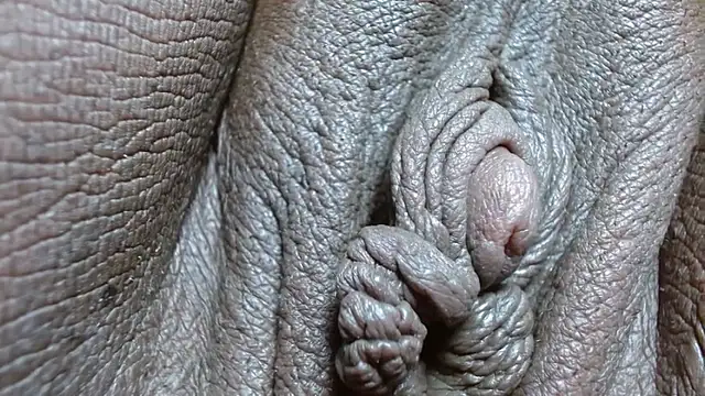 XXX chat uživo modela morenahott1