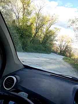 Show webcam de twitshe