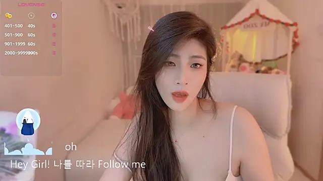 Vaidurya-Yolo 网络视讯表演