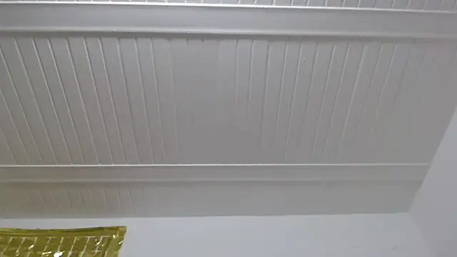 ElizabethMiler Live XXX-Chat