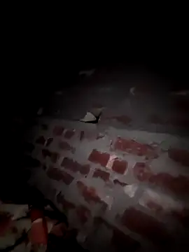 Ns7617のウェブカメラショー