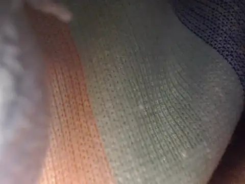 IMAGatMARKのウェブカメラショー