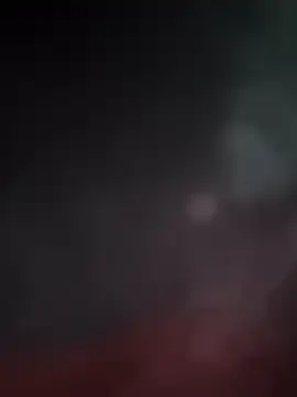 BeardKingo's Webcam Show