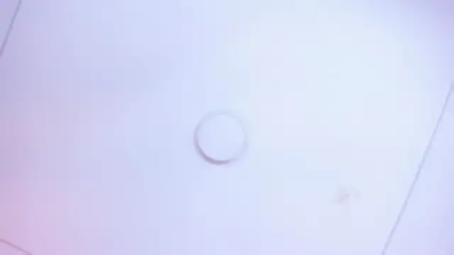 Sembang XXX Secara Langsung MaddyCrofft