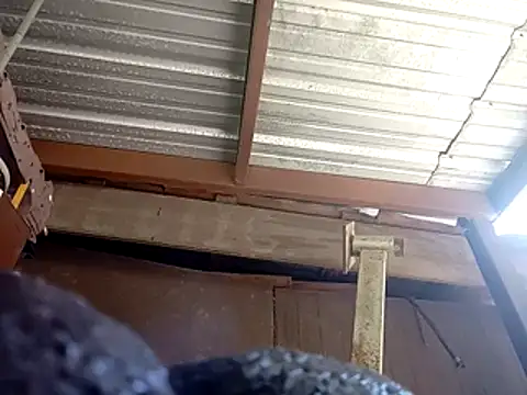 دردشة Xoc8_ الجنسية المباشرة