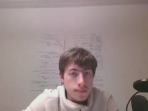 VelvetRagottiOGn Webbikameraesitys