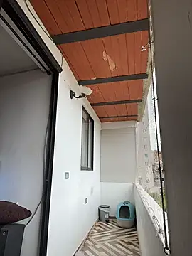 FreszX Pertunjukan Webcam