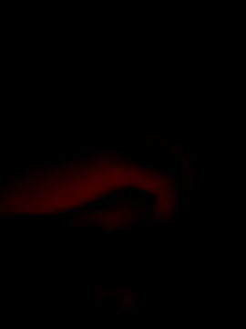 Ezehombre's Webcam Show