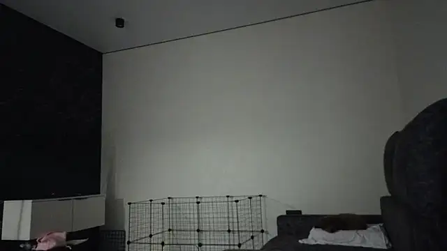 BabySofa – Live XXX-chat