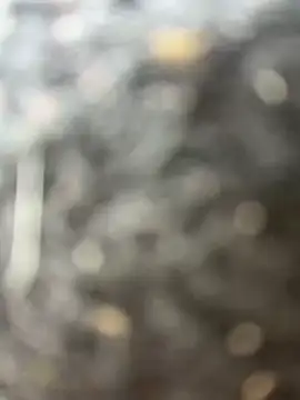 FerrariFrench Live XXX-chat