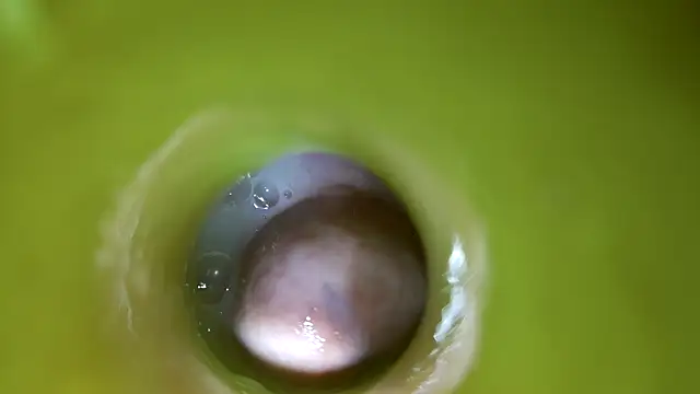 Show de webcam de rubbingtothetips