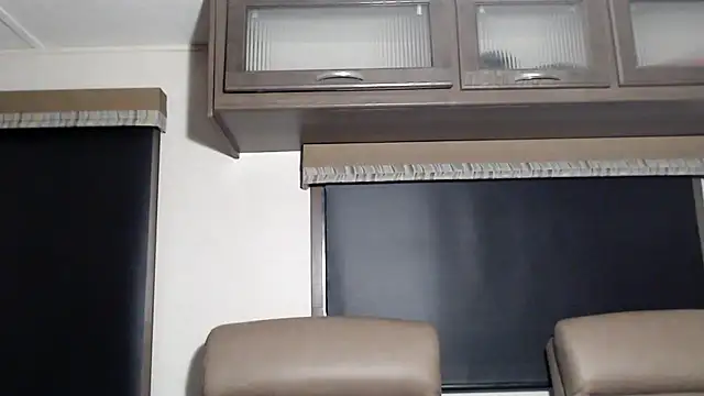 Show webcam de ThickD2C