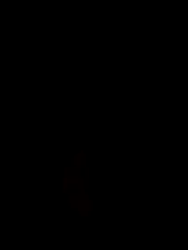 Webkamerová show boydamvn1