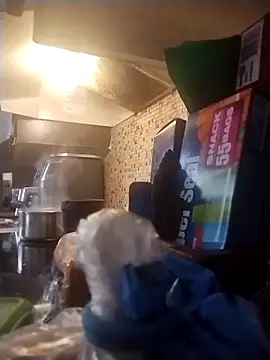 AceticPinscher webcam show