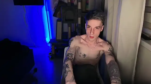 Show de webcam de davesinner