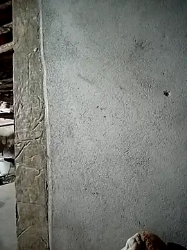 kalara_kail Adlı Modelin Canlı XXX Sohbeti