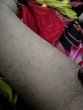 Show Webcam de subh12233