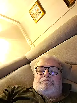 petvarad: вебкам-шоу