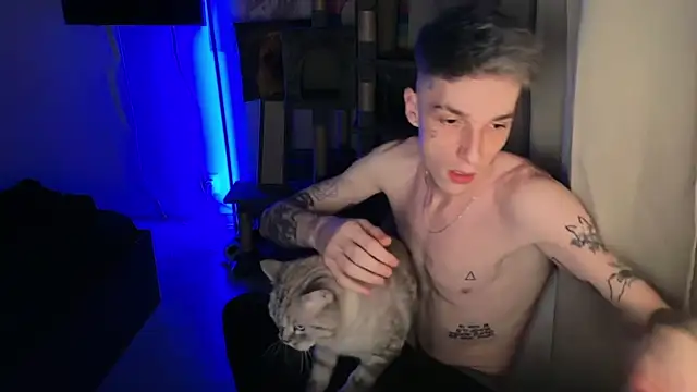 Show webcam de davesinner