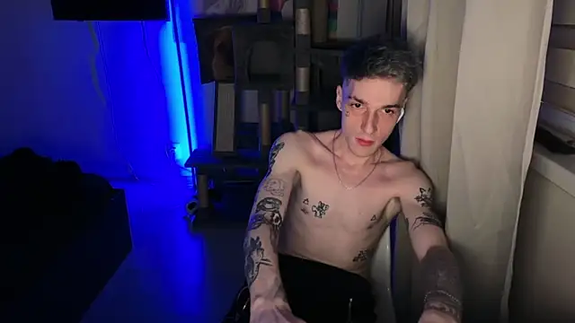 davesinnerのウェブカメラショー