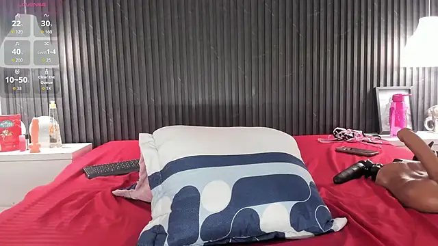 Show webcam de Tyra-Banks