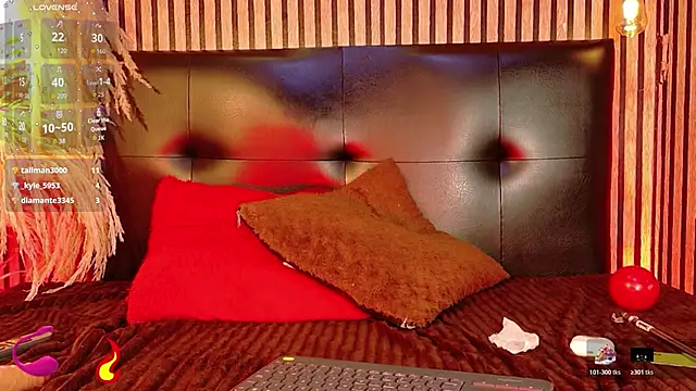 Hiddenhotcake Show Webcam