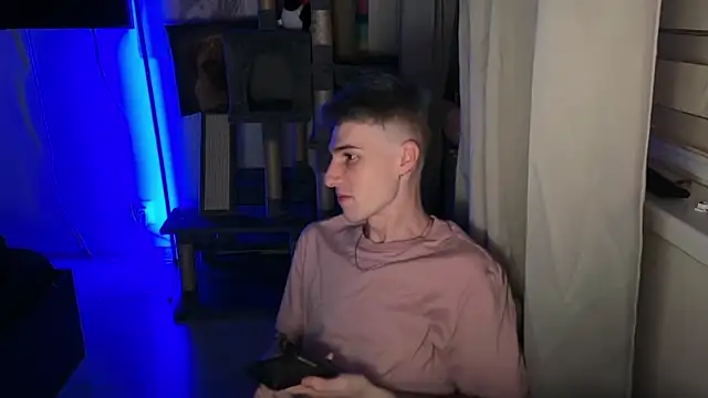 davesinnern Webbikameraesitys