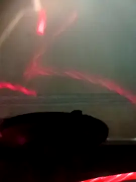 Wild-Dreams: διαδικτυακό σόου στην κάμερα