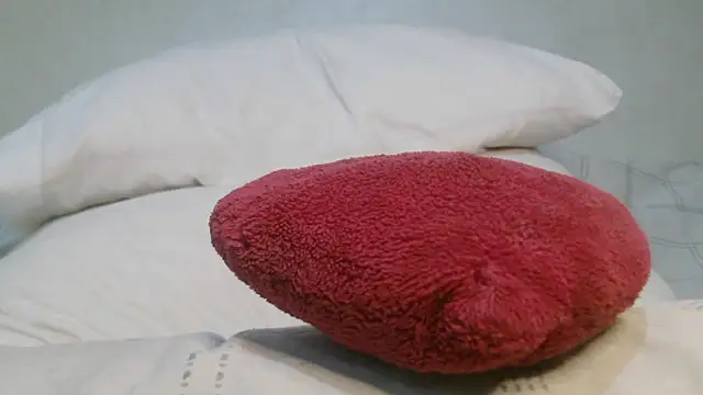 عرض كام roccosif696