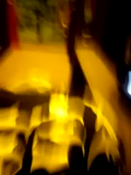 عرض كام agdo010