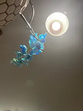 Вебкам-шоу Angeliccreamyrican