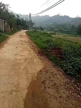 Girl-crazy1 Chat XXX live