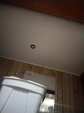 AceticPinscher Show in webcam