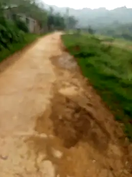 Girl-crazy1 Obrolan Langsung XXX