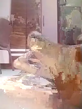 jenilmax Live XXX-Chat