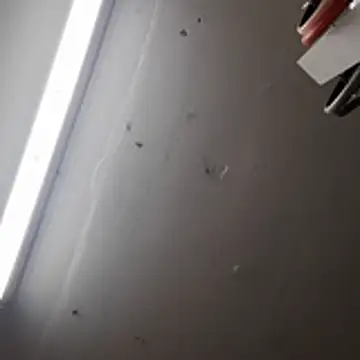 jhosuamoore's Webcam Show