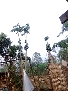 chumy-na Live XXX-chat