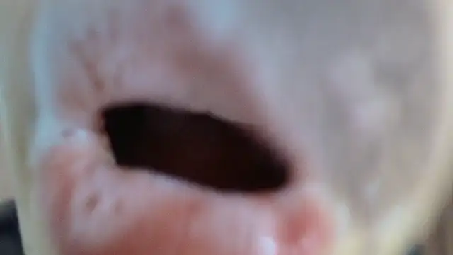 lisbet21x 라이브 XXX 채팅