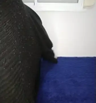 Sexy__Arab: вебкам-шоу