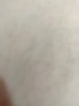 عرض كام buyukdalga