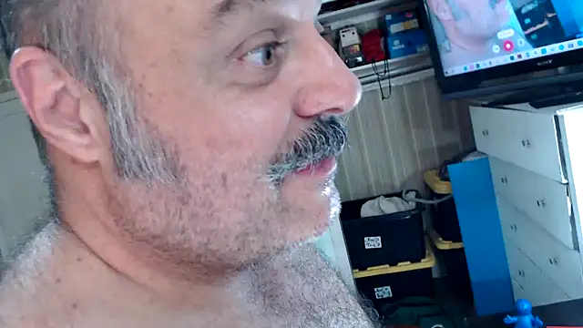 bullmusclejoe Webcamshow