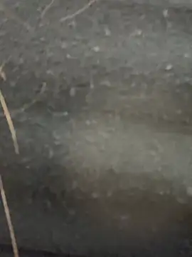 lunagirl13 – Live XXX-chat