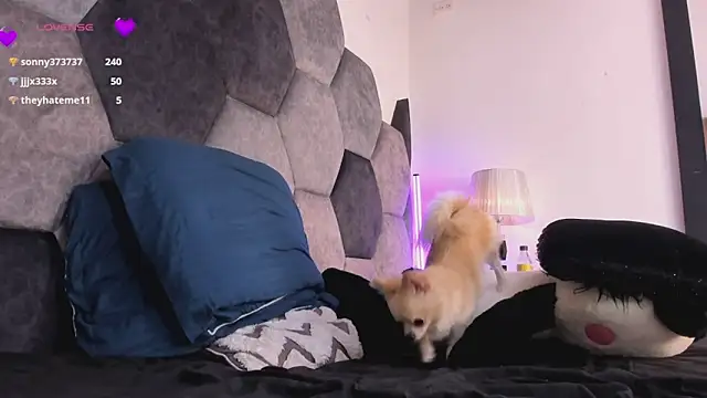 Онлайн чат XXX DulceJones