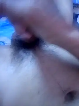 DodderedSitka 网络视讯表演