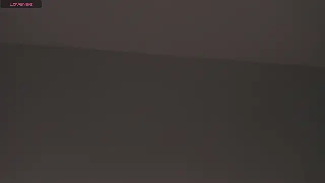 Онлайн чат XXX HarperGate