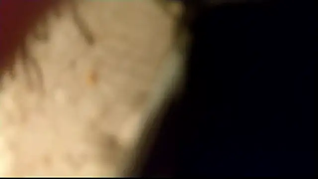 Luca_Sweet Webcamshow