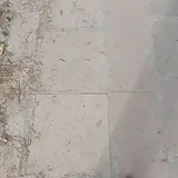 Fatcocksexy's Live XXX Chat