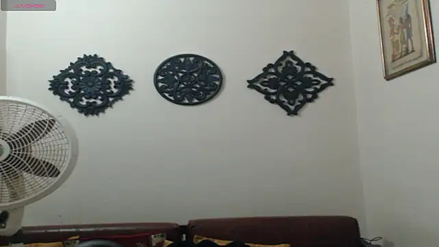 TONY_WHITE_7 웹캠 쇼