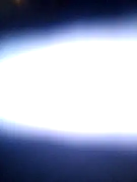 Show Webcam de yourMasterisBored